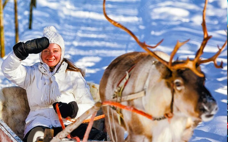 Rudolph Approved: Why a Coach Hire is Your Sleigh for Holiday Fun!